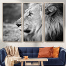 African Lion Wall Art Canvas Print – Majestic Wildlife