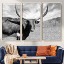 Cattle Wall Art Longhorn Cow Canvas Print
