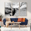 Longhorn Wall Art Canvas Print, Framed Ranch Wall Art Canvas by MyGreatCanvas | Canvas Wall Art Prints | Photo Prints & Wall Decor