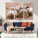 Lion Pair Wall Art Canvas Print – Framed Wildlife Scene with