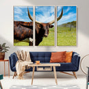 Longhorn and Cow Wall Art, Country Cow Wall Decor Canvas by MyGreatCanvas | Canvas Wall Art Prints | Photo Prints & Wall Decor