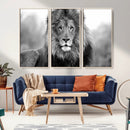 Black and White Lion Canvas Wall Art – Animal Print Artwork