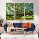 Majestic Oak Tree Wall Art – Serene Nature Canvas Print with