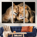 Lion and Lioness Wall Art Canvas Print – Framed African