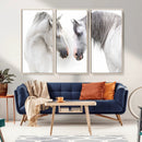 White Horse Wall Art Animal Canvas Print