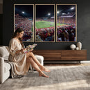 Washington-Grizzly Stadium Canvas Print, American Football