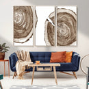 Wood Tree Ring Wall Art Canvas Prints, Tree Rings –