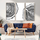 Abstract Large Tree Rings – Minimalist Black and White Wood