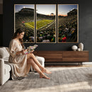 Oregon Stadium Canvas Wall Art - Captivating Game Day Scene