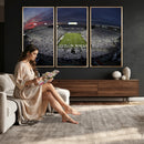Penn State University Nittany Lions Football Team Print -