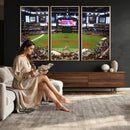 Arizona Diamondbacks Baseball Team Print - Phoenix Chase