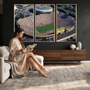 Michigan Wolverines Football Team Print - Ann Arbor Michigan
