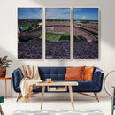 South Carolina Gamecocks Football Team Print - Columbia