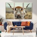 Texas Cow Longhorn Wall Art Canvas Print for Farm House Wall