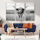 Texas Cow Longhorn Wall Art Canvas Print for Farm House Wall