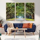Wormsloe State Plantation Driveway Wall Art Canvas Print