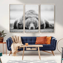 Resting Grizzly Bear Wall Art Canvas Print – Majestic Lazy by MyGreatCanvas | Canvas Wall Art Prints | Photo Prints & Wall Decor