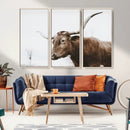 Rustic Bull Wall Art Canvas Print – Modern Longhorn