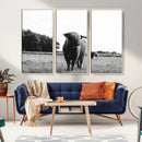 Black and White Highland Cow Wall Art Canvas Print | Rustic