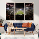 Eagles Field Stadium Wall Art - Philadelphia Eagles Football