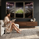 Eagles Field Stadium Wall Art - Philadelphia Eagles Football