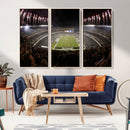 Eagles Field Stadium Wall Art - Philadelphia Eagles Football