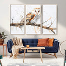 Barn Owl Wall Art on Branch | Stunning Canvas Print for