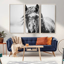 Western Wall Art | Black and White Winter Horse Wall Art | by MyGreatCanvas | Canvas Wall Art Prints | Photo Prints & Wall Decor