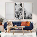 White Horse Wall Art | Ready to Hang and Framed | Winter