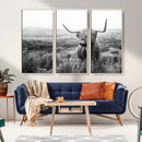 Scottish Highland Cow Wall Art | Black and White Canvas