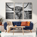 Scottish Highland Cow Wall Art Canvas Print | Ready to Hang