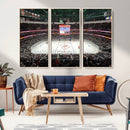 Honda Center California Anaheim Ducks Ice Hockey Stadium