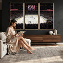 T Mobile Arena Paradise Nevada Vegas Golden Knights Ice