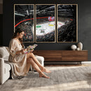 Vaudoise Lausanne Ice Hockey Arena Stadium Wall Art Canvas,