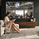 Xcel Energy Center St Paul Minnesota Wild Ice Hockey Stadium