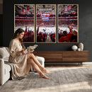 Carolina Hurricanes Ice Hockey Stadium Wall Art, Carolina