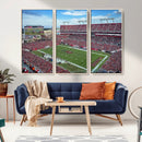 Florida Tampa Raymond James Stadium Wall Art Canvas Print -