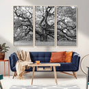 Black White Angel Oak Tree Wall Art - Timeless
