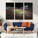 Wisconsin Badgers Football Team Print - Madison Camp Randall