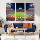 Wolfpack Football Team Print - Raleigh Carter-Finley Stadium