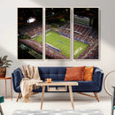 Florida Atlantic University Owls Canvas Print, Football Team by MyGreatCanvas | Canvas Wall Art Prints | Photo Prints & Wall Decor