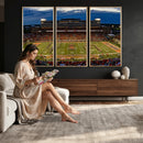 University of Illinois Fighting Illini Football Team Print -