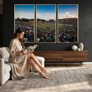 University of Charlotte 49ers Football Team Print -