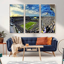 Framed USF Bulls Football Team Print - Tampa Raymond James by MyGreatCanvas | Canvas Wall Art Prints | Photo Prints & Wall Decor