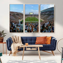 Michigan State Spartans Football Team Art Print - East