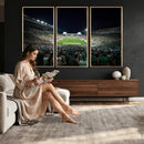 Framed Michigan State Spartans Football Team Print - East