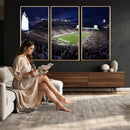 Michigan State Spartans Canvas, Framed Football Team Print -