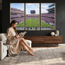 TCU Horned Frogs Football Team Print - Fort Worth Amon G.