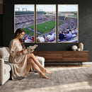 The Texas Christian University TCU Horned Frogs Football