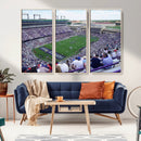 The Texas Christian University TCU Horned Frogs Football